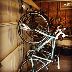 2010 Trek Teal
