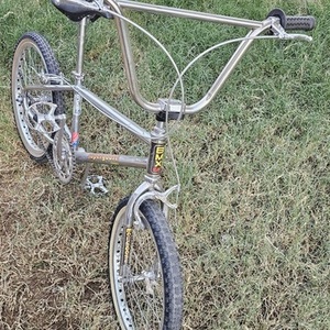 1983 Mongoose Supergoose Silver, gray or bare metal and Black