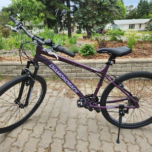 2025 Diamondback Moonraker Purple
