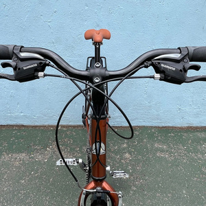 2008 Fuji Absolute 4.0 Brown