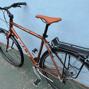 2008 Fuji Absolute 4.0 Brown