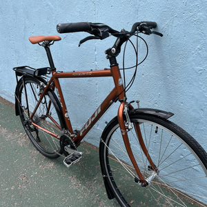 2008 Fuji Absolute 4.0 Brown