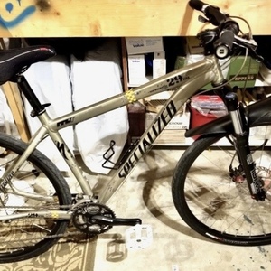 Specialized Rockhopper 29 Yellow or Gold and Brown