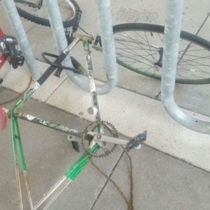 Other Unknown Silver or Gray and Green