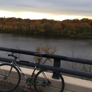 Other Unknown Silver or Gray and Green