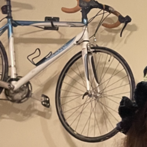 Trek 1.2 Blue