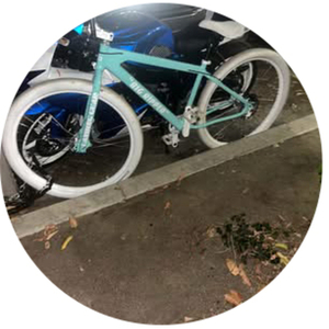 2023 SE Bikes Monster ripper Teal