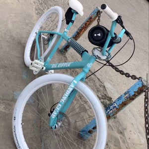 2023 SE Bikes Monster ripper Teal