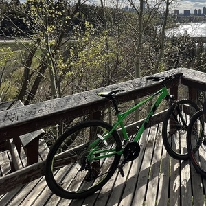 2021 GT Bicycles GT AGRESSOR PRO (Q121) Green