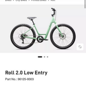 2023 Specialized Roll Green