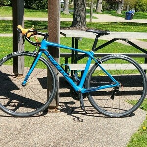 2017 Giant TCR Blue