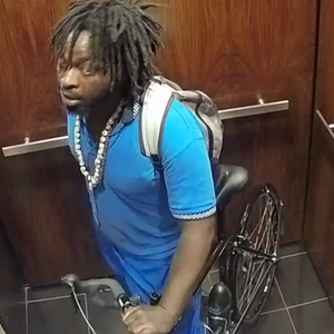 2017 Rodriguez Rainier Classic Black