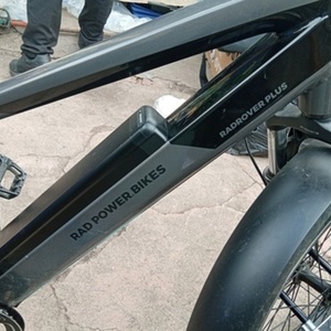 2022 Rad Power Bikes Rad Rover Silver, gray or bare metal, Black, and Teal