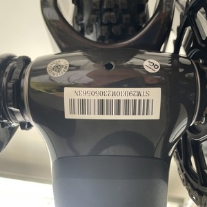 2024 SCOTT Spark RC World Cup EVO Silver, gray or bare metal