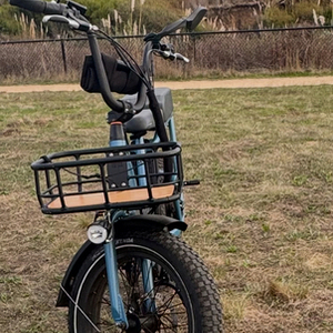 2023 Rad Power Bikes RadRunner 2 Electric Utility Bike Blue