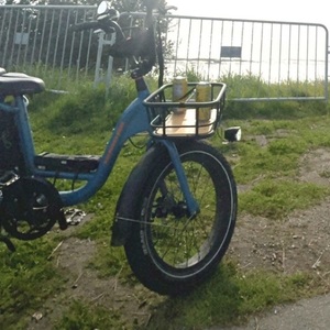 2023 Rad Power Bikes RadRunner 2 Electric Utility Bike Blue