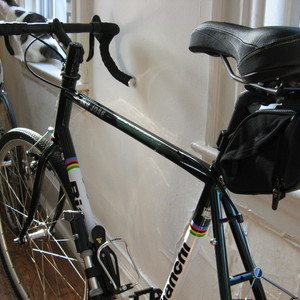 2008 Bianchi San Jose Green