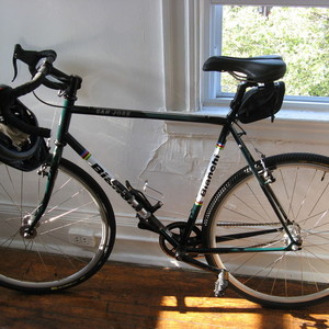2008 Bianchi San Jose Green