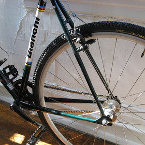 2008 Bianchi San Jose Green