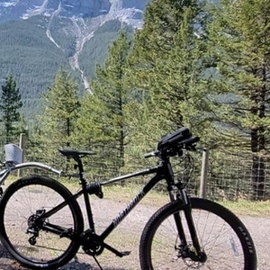 2023 Northrock xc29 Black and Silver, gray or bare metal