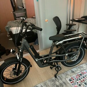 2023 Rad Power Bikes RadRunner 3 Plus Silver, gray or bare metal