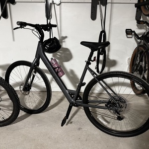 2025 Trek Verve 2 LS Silver, gray or bare metal