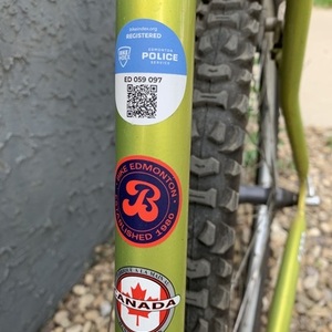 1999 Devinci Chili Pepper Yellow or Gold