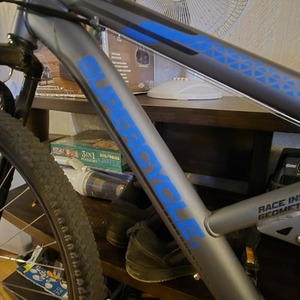 Supercycle Surge Silver, gray or bare metal