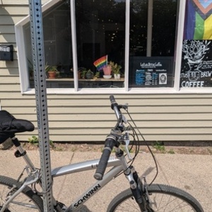 2010 Schwinn Link Silver, gray or bare metal