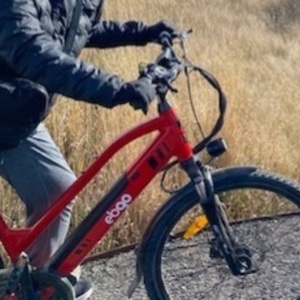 2020 Ebgo CC48 +