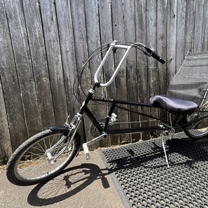 EZ Racer Gold Rush Black