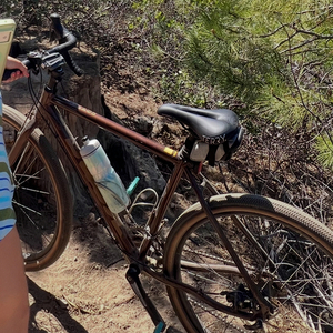 2020 Kona Rove Brown