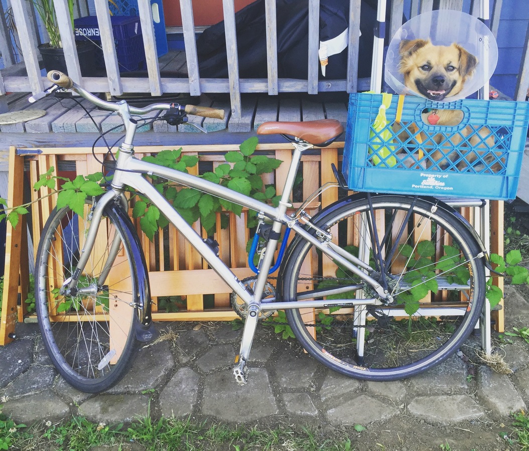 Bike photo