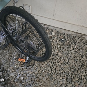 2021 Cannondale TRAIL 5 Black