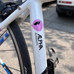 2011 Trek Lexa White