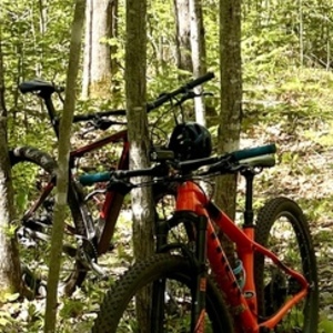 2018 Trek Procaliber 6 Orange