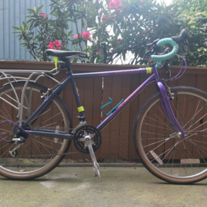 1993 Specialized Rockhopper Purple