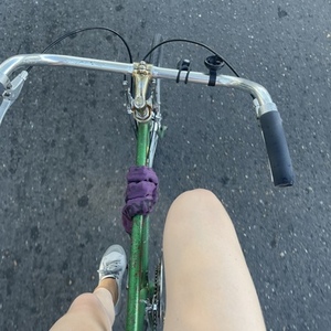 1980 Schwinn Varsity Green