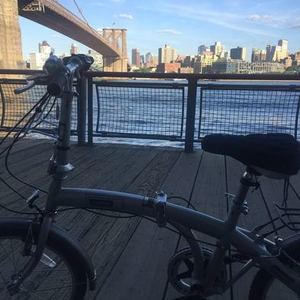 Krock ? Silver or Gray