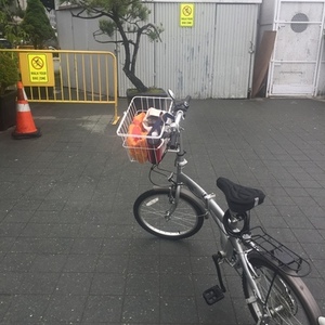 Krock ? Silver or Gray