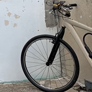 Specialized Rockhopper Brown