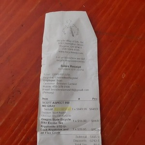 2025 SCOTT Aspect Silver, gray or bare metal