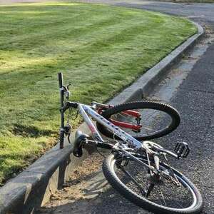 2001 Trek Fuel 98 Silver, gray or bare metal