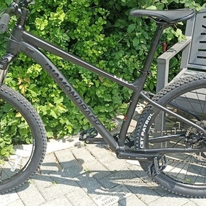 2024 Diamondback Highline 1 Black