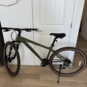 2024 Diamondback Hillside 29" Men's mountain bike Green