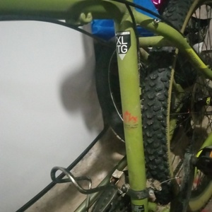 2021 Diamondback Xltg Green and Black