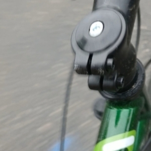 Diamondback Green