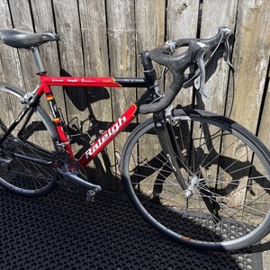 2004 Raleigh Team