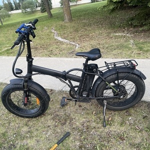 2025 Bafang RST89650750020010