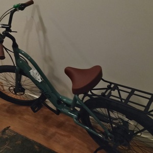 Electra Townie Go 7D Step Thru Teal